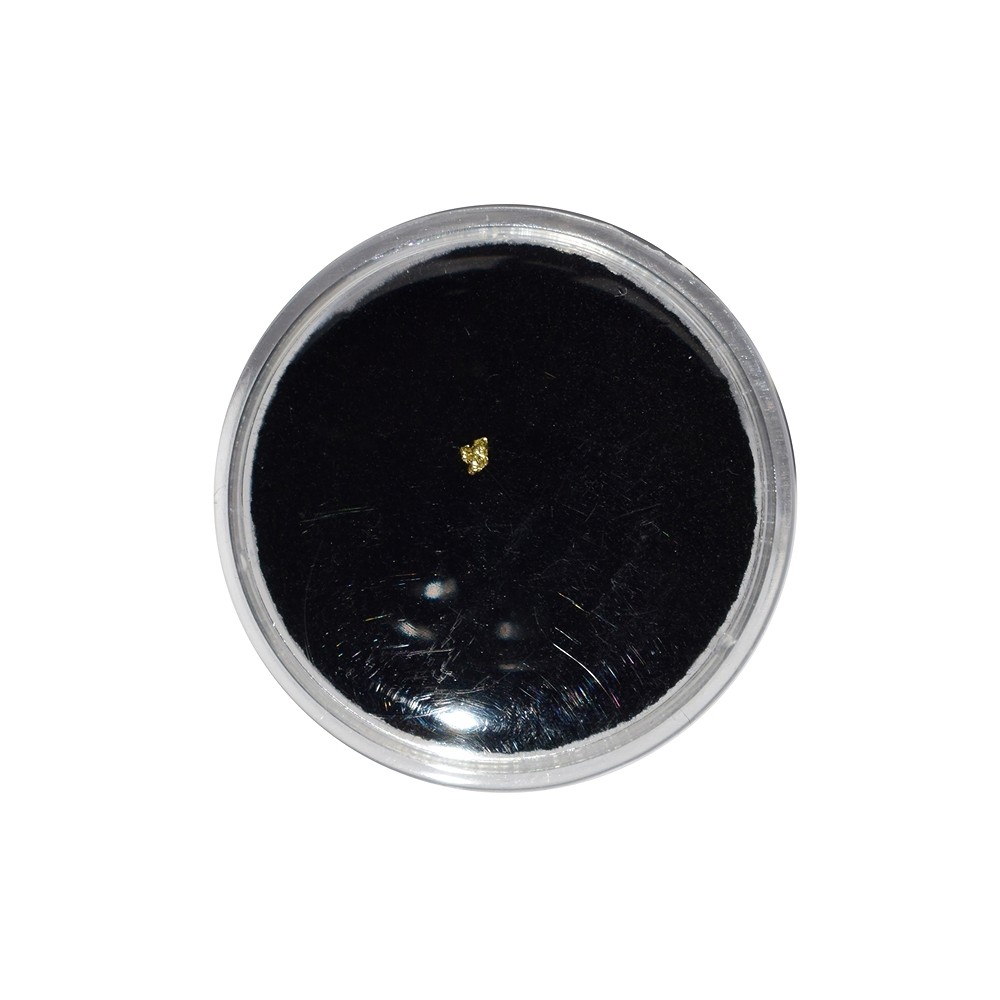 Gold nugget with certificate card in pouch | wholesaler gems & healing stones