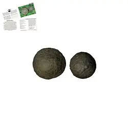 090850001 Moqui Marbles pair, 1.5 - 2.0cm (mini) | Schreier gems, healing stones & jewelry