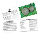 https://cdn.marcoschreier.com/content/productimages/090850002_d1.jpg