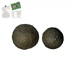 090850004 Moqui Marbles pair, 4.0 - 4.5 cm (large) | wholesaler gems & healing stones