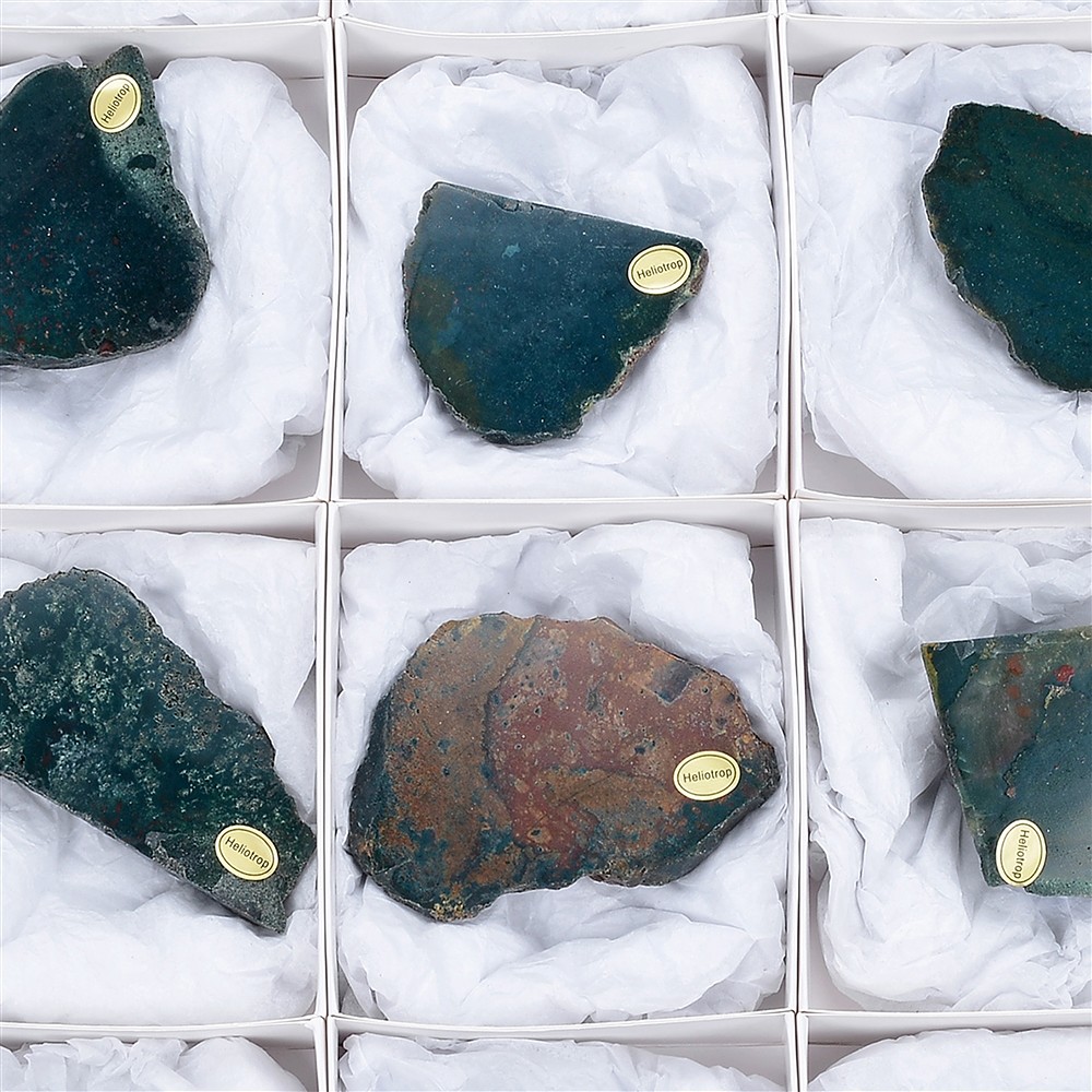 Eliotropio bordi smussati, 05 - 07 cm (12 pz./ UC) | Marco Schreier