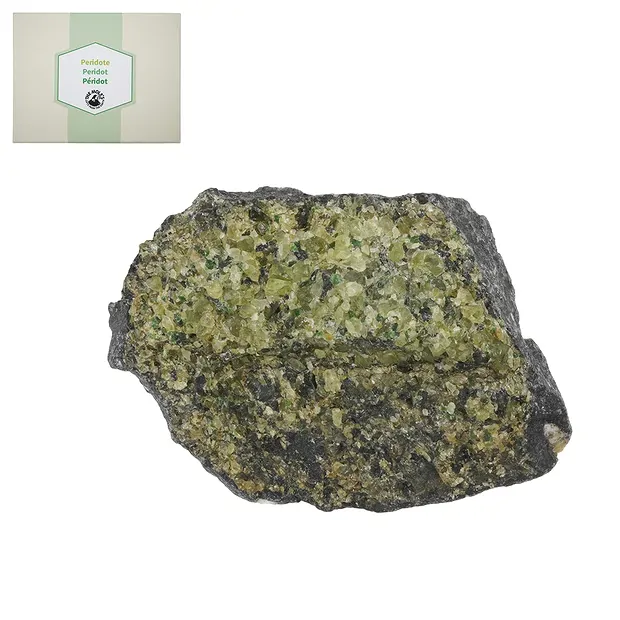 Mini-Flat Rohsteine Peridot, 3,0 - 4,5cm (12 - 15 St./VE) | Marco Schreier