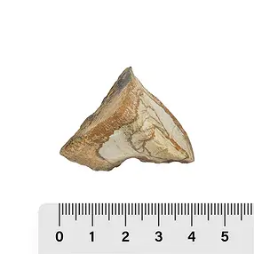 Pierres brutes Jaspe (Jaspe paysage), 03 - 05cm (1kg/UC) | Marco Schreier