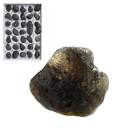 0921601035 Tektite (Agni Manitite) rough stones, 4.0 - 5.5cm (35 pcs./ PU) | Marco Schreier
