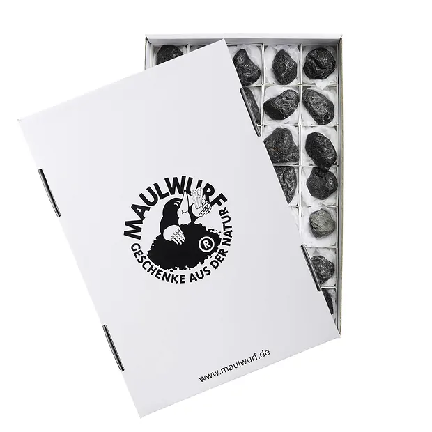 Pierres brutes Tectite (Agni Manitit), 3,5 - 5,0cm (54 pcs/UC) | Marco Schreier