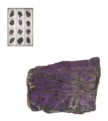 0922202012 Rohsteine Purpurit, 05 - 07cm (12 St./VE) | GH Edelsteine, Heilsteine & Schmuck