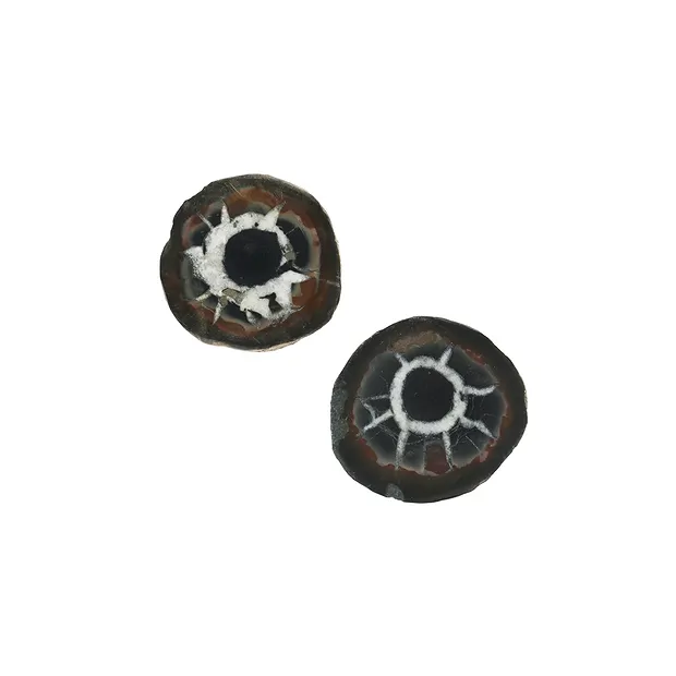 Septarian 2.5-3.0cm (small) with certificate card in pouch | Marco Schreier