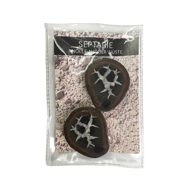 Septaria 2,5-3,0cm (pequeña) con tarjeta de certificado en bolsa | Marco Schreier