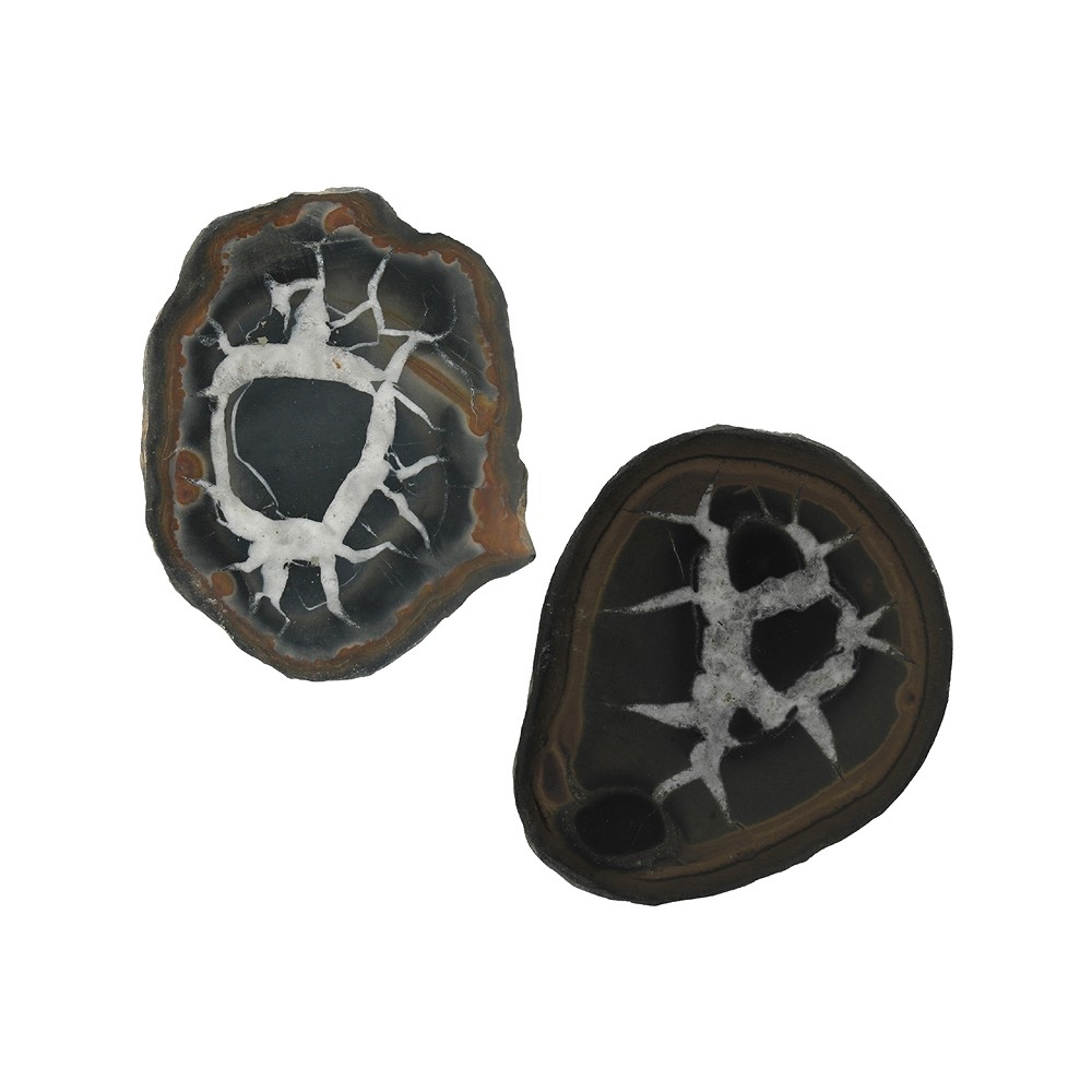 Septaria 4,0-5,0cm (moyen) avec carte de certificat en pochette | Marco Schreier