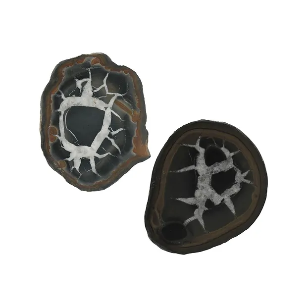 Septarie 4,0-5,0cm (mittel) mit Zertifikatkarte in Pouch | Marco Schreier