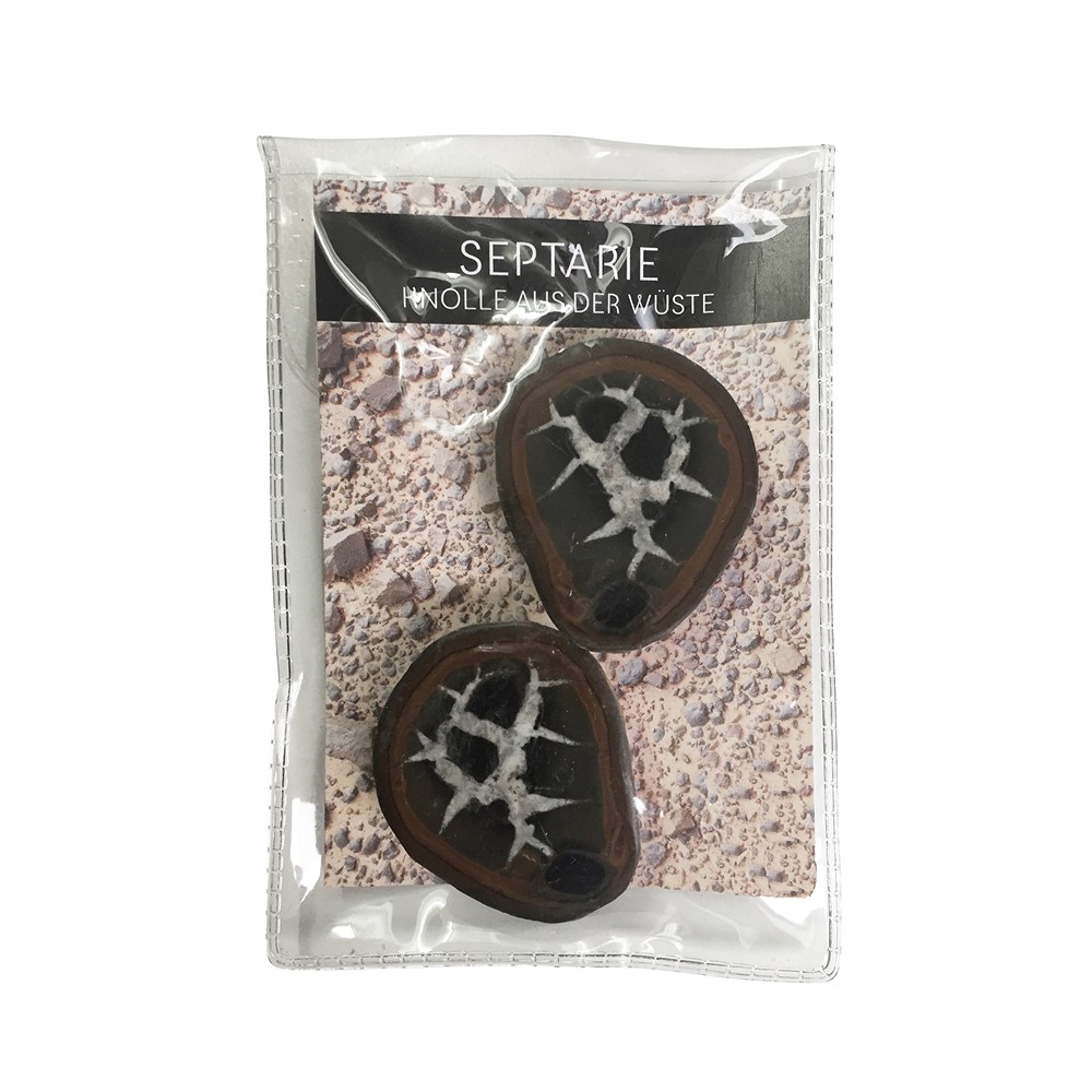 Septaria 4,0-5,0cm (moyen) avec carte de certificat en pochette | Marco Schreier