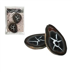 0923902002 Septarian 4.0-5.0cm (medium) with certificate card in pouch | Marco Schreier