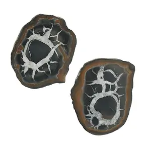 Septarian 5.0-7.0cm (large) with certificate card in pouch | Marco Schreier