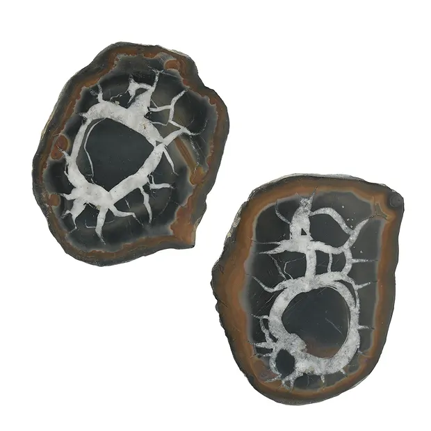 Septarie 5,0-7,0cm (groß) mit Zertifikatkarte in Pouch | Marco Schreier