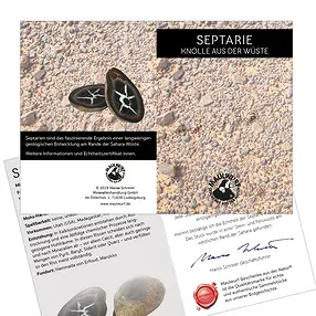 Septarian 5.0-7.0cm (large) with certificate card in pouch | Marco Schreier