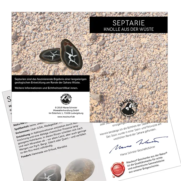 Septaria 5,0-7,0cm (grande) con tarjeta de certificado en bolsa | Marco Schreier