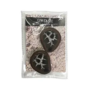 Septarian 5.0-7.0cm (large) with certificate card in pouch | Marco Schreier