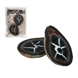0923902003 Septarian 5.0-7.0cm (large) with certificate card in pouch | Marco Schreier