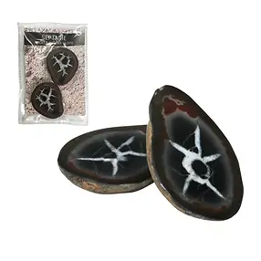 Septarian 5.0-7.0cm (large) with certificate card in pouch | Marco Schreier