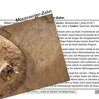 https://cdn.marcoschreier.com/content/productimages/093000009_d1.jpg