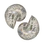 https://cdn.marcoschreier.com/content/productimages/093000012_d2.jpg
