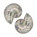 https://cdn.marcoschreier.com/content/productimages/093000014_d2.jpg