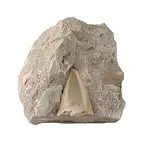 https://cdn.marcoschreier.com/content/productimages/093000018_zoom.jpg