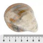https://cdn.marcoschreier.com/content/productimages/0930000220_d1.jpg