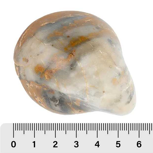 Fossilien Start-Set 2, 05 - 07cm (20 St./VE) | Edelsteine, Heilsteine & Schmuck