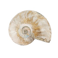093000041 Fornitori all'ingrosso di Schreier - pietre preziose, pietre curative e gioielli