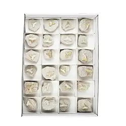 0930001024 Shark teeth in matrix, 04 - 05cm (24 pcs./ PU) | gems, healing stones & jewelry