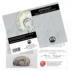 https://cdn.marcoschreier.com/content/productimages/0930002001_d1.jpg