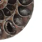 https://cdn.marcoschreier.com/content/productimages/0930002001_d2.jpg