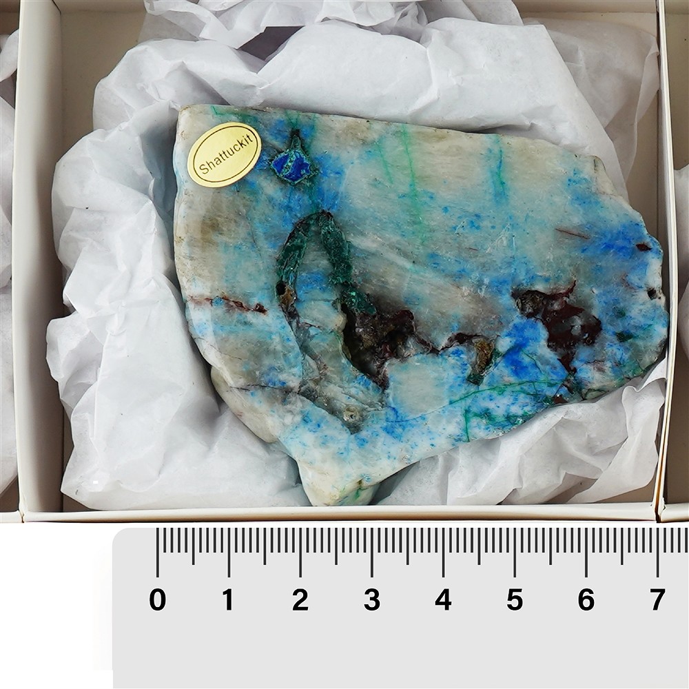 One side polished pieces Shattuckite, 05 - 09cm (12 pcs./ PU) | Marco Schreier