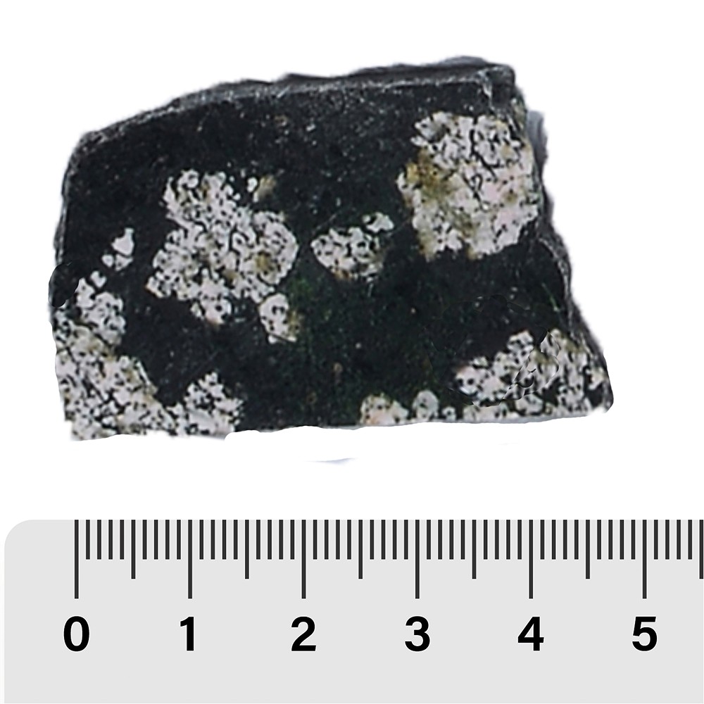 Pièces polies d'un côté, 04 - 06cm (12 pcs/UC) | Marco Schreier