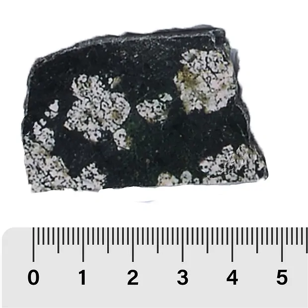 One side polished pieces Khyberstone, 04 - 06cm (12 pcs./ PU) | Marco Schreier