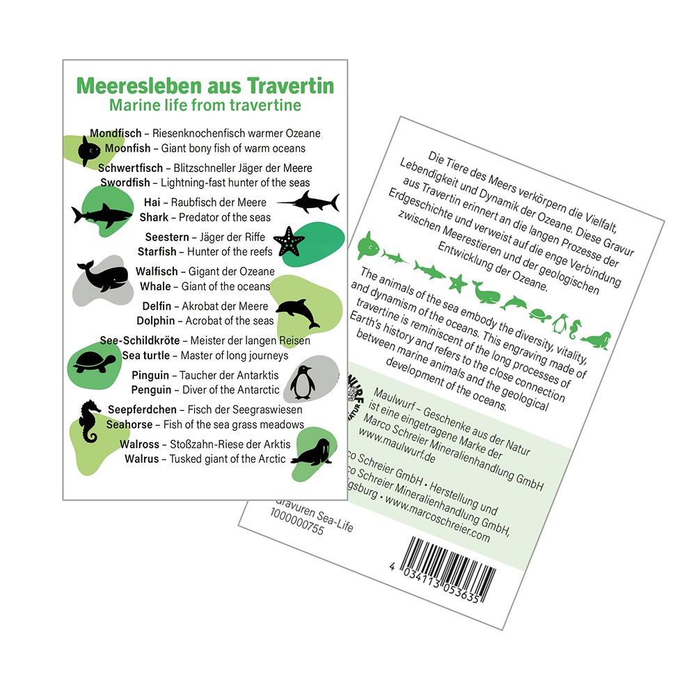 Gravuren-Set "Meeres-Leben" (40 St./VE) | GH Edelsteine, Heilsteine & Schmuck