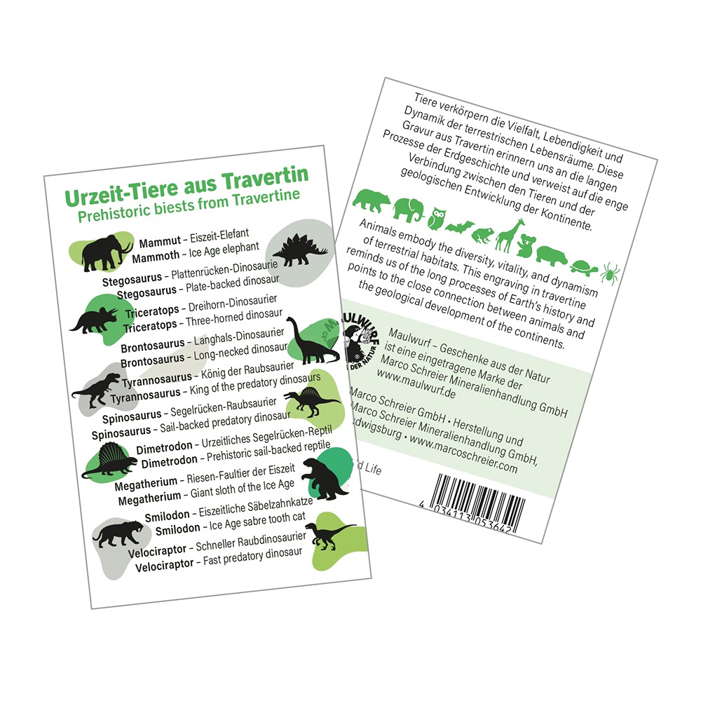 Gravuren-Set "Urzeit-Tiere" (40 St./VE) | GH Edelsteine, Heilsteine & Schmuck