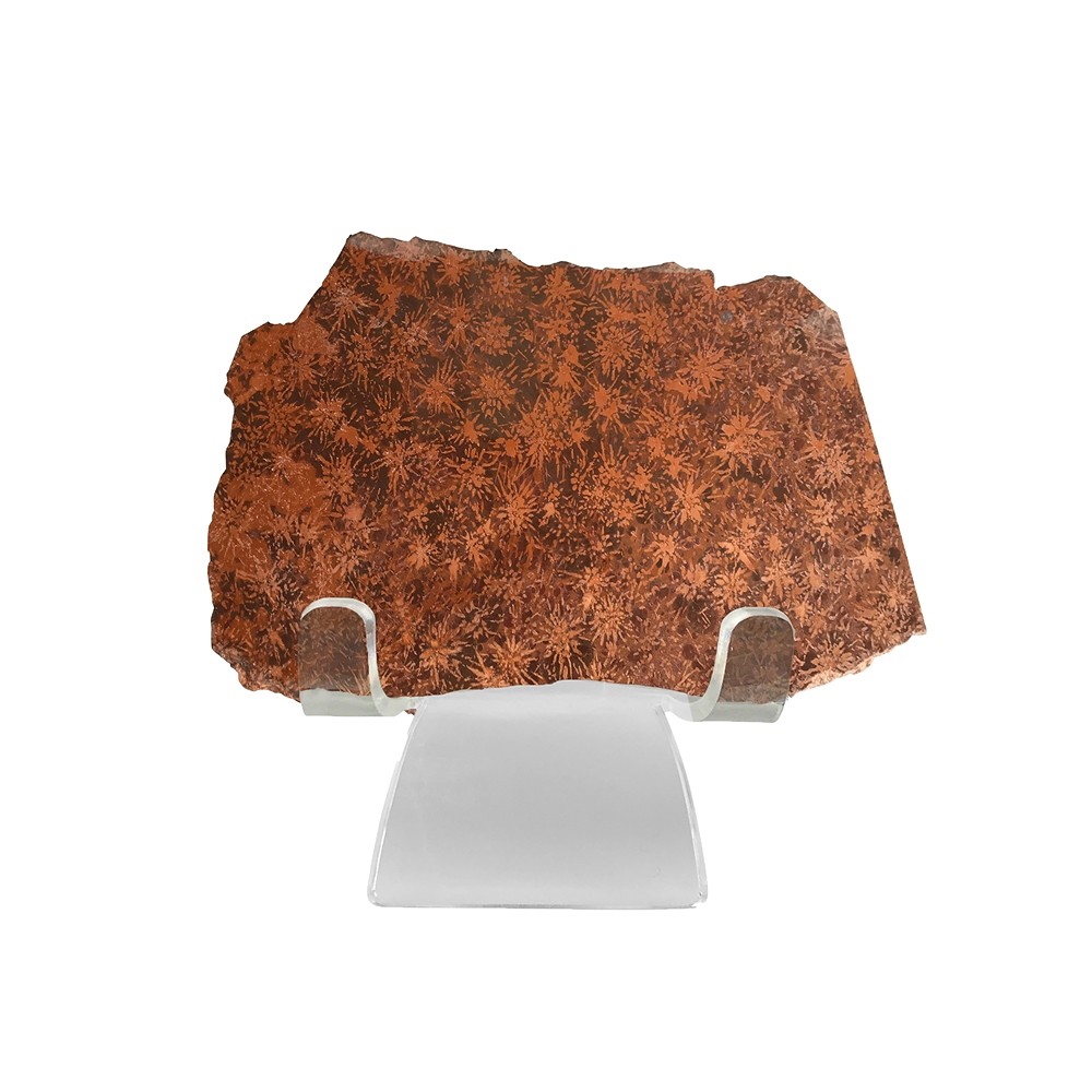 Disc stand 4.5 x 5.5 cm | wholesaler - gems, precious & healing stones, jewelry