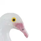 https://cdn.marcoschreier.com/content/productimages/1000004614_d3.jpg
