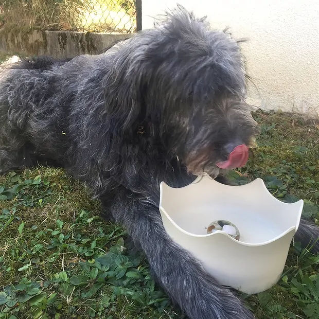 VitaJuwel Crown, blanc naturel | Marco Schreier