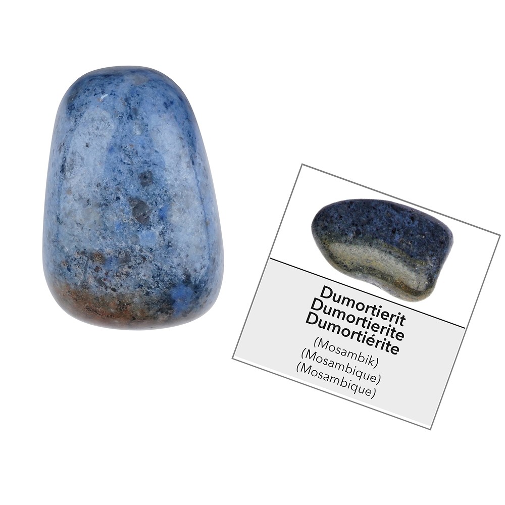 Display mole collecting fun with 576 gemstones DEUTSCH | Marco Schreier