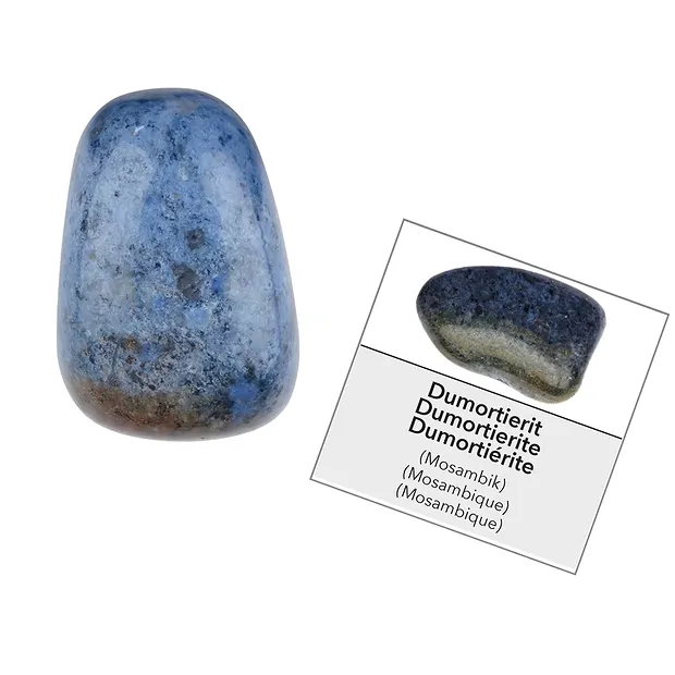 Mostrar Mole coleccionar diversión con 576 piedras preciosas DEUTSCH | Marco Schreier