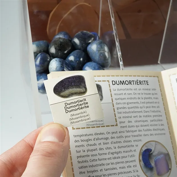 Display Mole collecting fun with 576 gemstones ENGLISH | Marco Schreier
