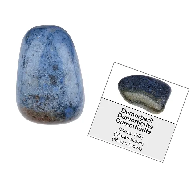 Display Mole collecting fun with 576 gemstones FRENCH | Marco Schreier