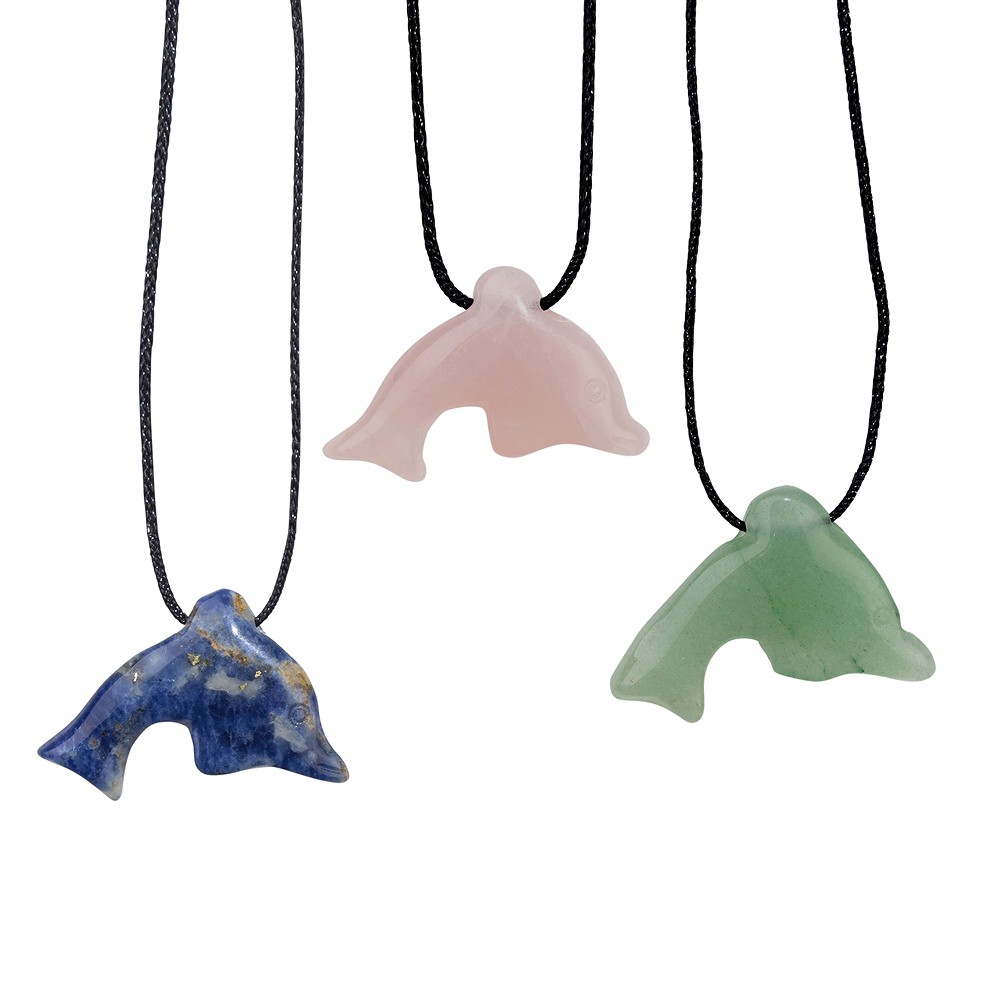 Espositore in cartone "Delfini forati" (24 casi) | Marco Schreier