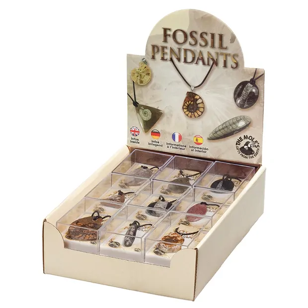 Fossil pendant" cardboard display (18 boxes) | wholesaler gems & healing stones