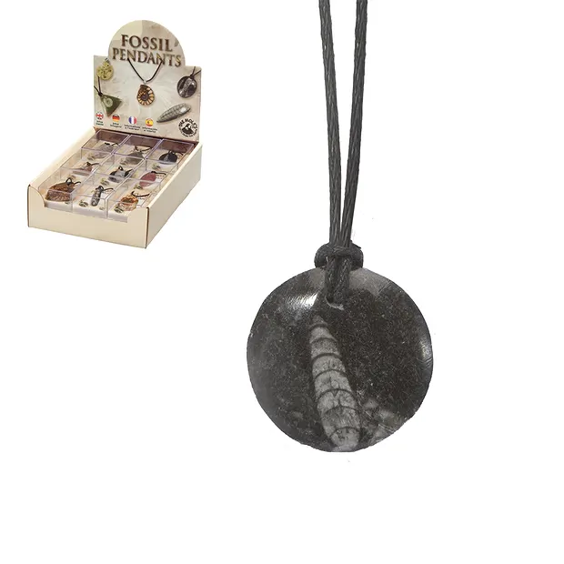Fossil pendant" cardboard display (18 boxes) | wholesaler gems & healing stones