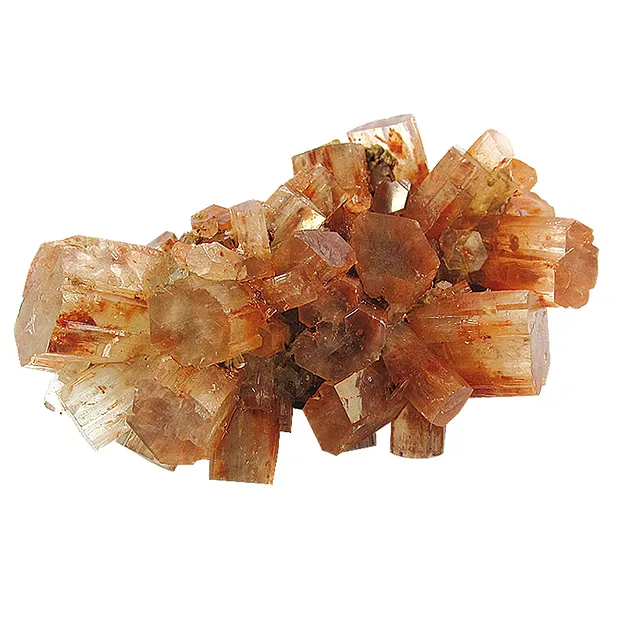 Espositore in cartone "Aragonite Sputniks" (32 scatole) | Marco Schreier