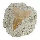 https://cdn.marcoschreier.com/content/productimages/1000040451_d2.jpg